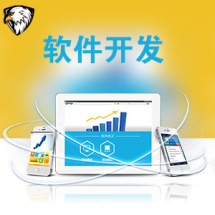 軟件外包服務(wù)全解析 報(bào)價(jià)、收費(fèi)模式與九品制服務(wù)分級