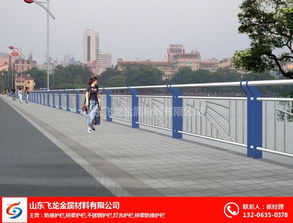 聊城飛龍橋梁護欄公司 鑄就道路安全屏障，匠心打造交通安全設施工程